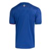 Goedkope Cruzeiro EC Thuisshirt 2021-22